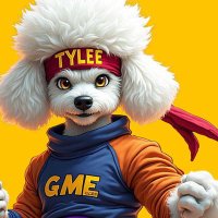 CC (@ccrypt_o) 's Twitter Profile