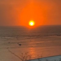 SHINGO (@akasingmm) 's Twitter Profile