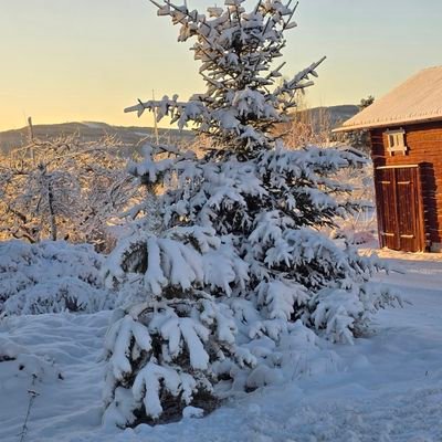 SevdamSevd67150's profile picture. bozan