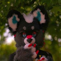 Rodusk (@roduskb) 's Twitter Profile