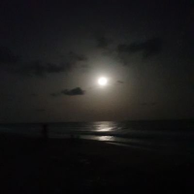 A51418Adisi's profile picture. 