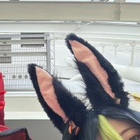 ごん (@tin_a17) 's Twitter Profile Photo