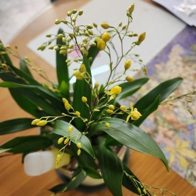 55gyeom's profile picture. 