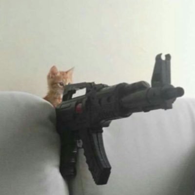 HedgedRisk's profile picture. 