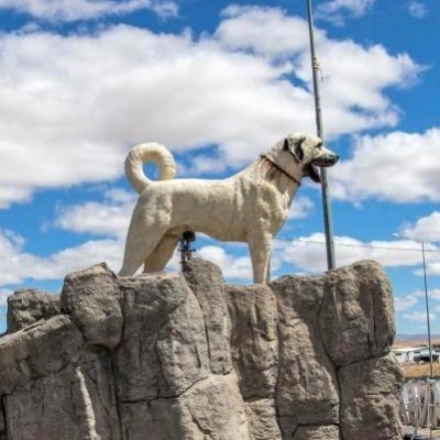 tdiymb06's profile picture. Türkiye Damızlık İt Yetiştiricileri Merkez Birliği Resmi X Hesabıdır.

Kamuya ait it yetiştiriciliği faaliyetlerini bilgilendirme sayfası Parodi H @Mert77622347