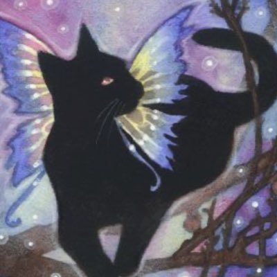 januaryorangez's profile picture. she/they