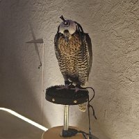 رامي (@ramomans) Twitter profile photo