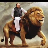 m imran (@mimran581775419) 's Twitter Profile