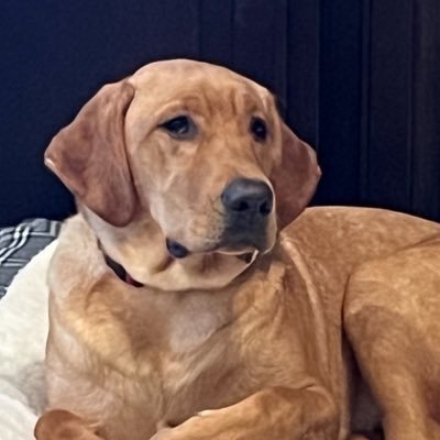 Wendell35944723's profile picture. 