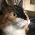puddycat (@relatableroo) Twitter profile photo puddycat (@relatableroo) Twitter profile photo