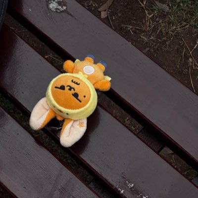 goyawngi ⌷さんのプロフィール画像
