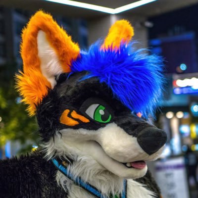 Twitch Affiliate Living it up near Orlando! Furry and rhythm games are my jam like Pump It Up! In the loves with @autumns_storms VRchat: Howlie_Tigerpaw