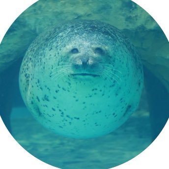 lilacmarsh's profile picture. 