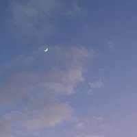 れもん@名巧愛知② (@__twilight_moon) 's Twitter Profile Photo れもん@名巧愛知② (@__twilight_moon) 's Twitter Profile Photo