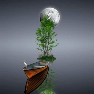 SN1047's profile picture. 