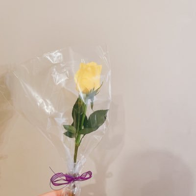 ヲニギリさんのプロフィール画像