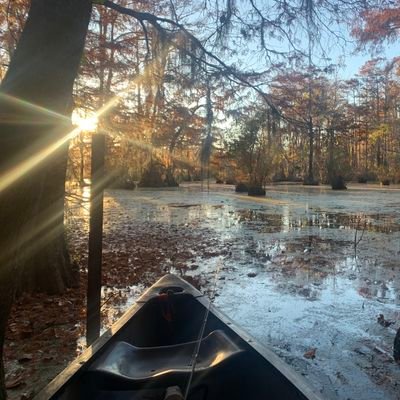 Hot4Wattson's profile picture. 