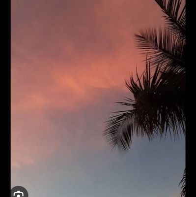 grvghosh's profile picture. 
