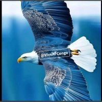 Vive AFC🇨🇩 (@viveafcongo) 's Twitter Profile