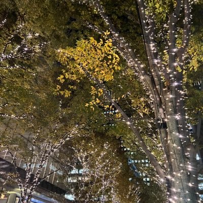 jDGqG6hP5xu5bI3's profile picture. 気軽に絡んで下さーい 25歳 🍏
