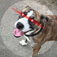 Stacktoshi (@twentyonemilly) 's Twitter Profile