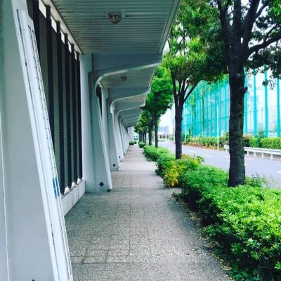 satok1031772's profile picture. AKB48→NMB48→ももクロ→欅坂46鈴本美愉/渡邉理佐→櫻坂46 渡邉理佐/遠藤理子/山川宇衣推し、結局箱推し30代２児のパパBuddiesです🚹。Buddiesと繋がりたいです！無言フォロー🙆‍♂️無言フォロー失礼します🙏