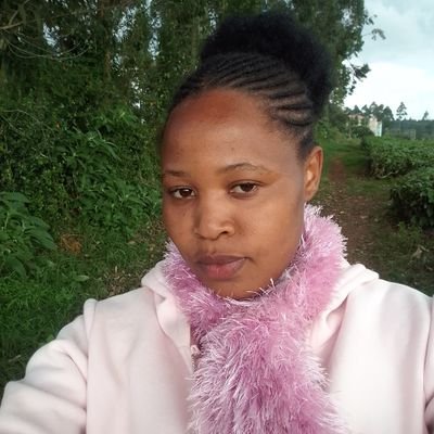 shikohroseoffic's profile picture. 