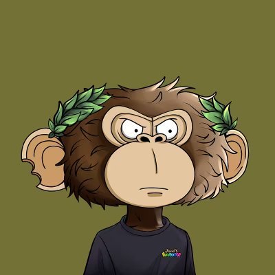 jilyjimy's profile picture. 🐒 random jpeg collector | $APE chain