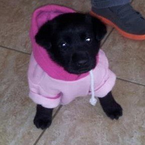 SNtzortzis's profile picture. Interested in blockchain !  Like Football and Basketball 
Surveyor Enginner !!