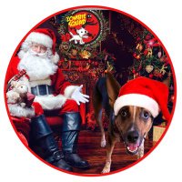 Mary @ Sargent Quigley #ZSHQ (@marytutor57) 's Twitter Profile