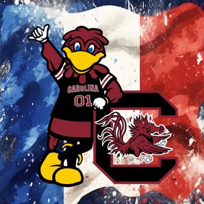 🤙 Compte fan francophone 🇫🇷 non-officiel des South Carolina Gamecocks 🐔