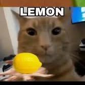 LikelyLemon's profile picture. Certified Idiot