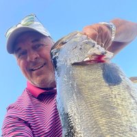 Mike Thomas (@mthomaslogo) 's Twitter Profile