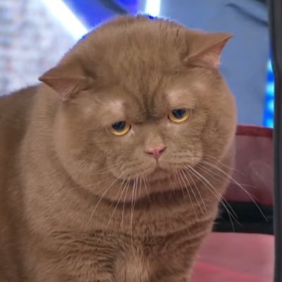 Tinykitten1815's profile picture. lifestyle make up movie ป้ายยาป้ายใจkaaaa 🩵🫶🏻 eiei