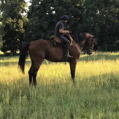 Tomiiduarte3's profile picture. 