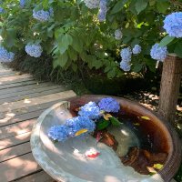 しのぶ (@mcmanus_no35742) 's Twitter Profile