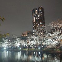 こまち | 御徒町〜浅草 (@machiko_taitou) 's Twitter Profile Photo こまち | 御徒町〜浅草 (@machiko_taitou) 's Twitter Profile Photo