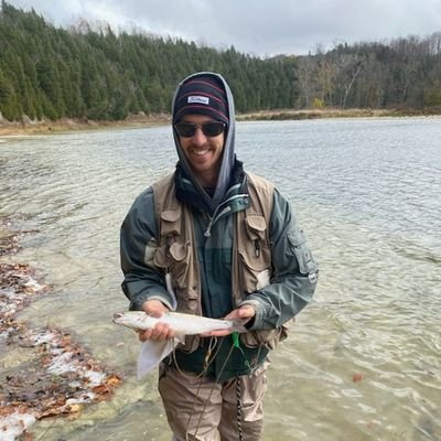 KingoftheLinks's profile picture. 