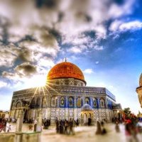 شهب (@shb543459894315) Twitter profile photo