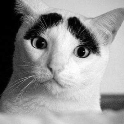 nicki_duko's profile picture. 