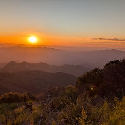 michelle_gh's profile picture. Lover of animals (especially dogs). Trump, Danielle Smith, and PP (Timbit Trump) are disgusting. I'm against traitors to Canada who align with the orange moron.