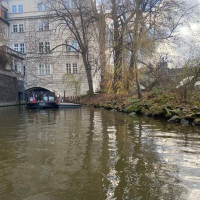 IbrahimFah39082's profile picture. 