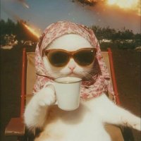 Sue ☕️ (@sawsan_samir) 's Twitter Profile
