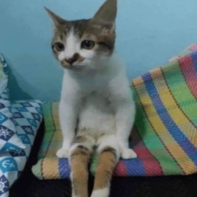 javierf67701155's profile picture. 