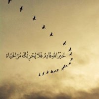 بازووكة➰➰ (@yuo0777) Twitter profile photo