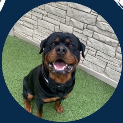 KaranSidhu0808's profile picture. 