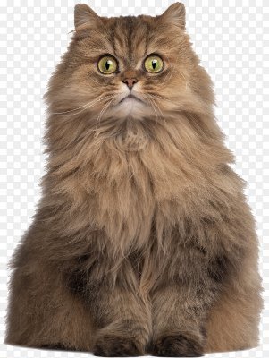 alm0khtar's profile picture. nothing to see here 404