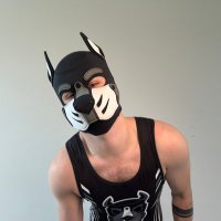 Pup Enzo (@xpupenzo) 's Twitter Profile Photo Pup Enzo (@xpupenzo) 's Twitter Profile Photo