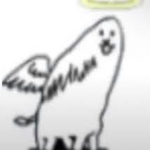 holaさんのプロフィール画像