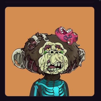 igorfaioni's profile picture. - Ex professional in nothing - low cap gem finder 
- Actually in the Base trenches
- 7 fig by the end of '25 bullrun